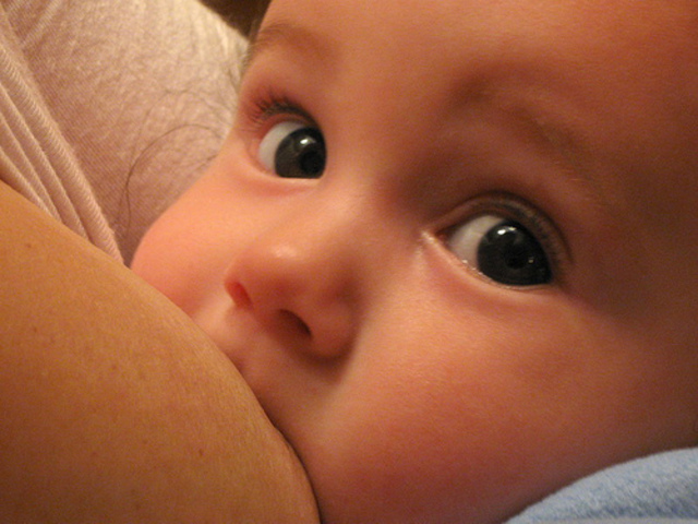 Período postneonatal / lactante (1 mes-1 año)