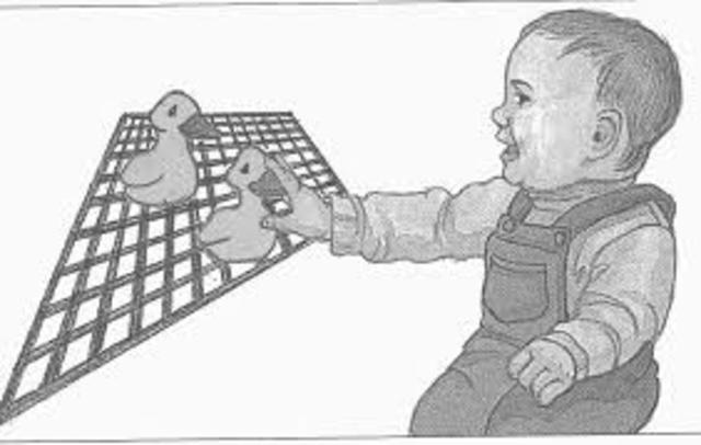 La percepción de profundidad o estereopia.