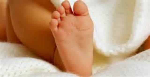 Primer año de vida.