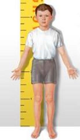 Incremento de estatura