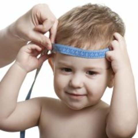 16-18 meses de vida.