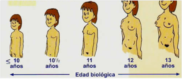 PUBERTAD CAMBIOS EN LA MUJER