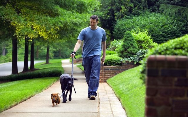 TIMELINE 5 ISLAND FOR SALE