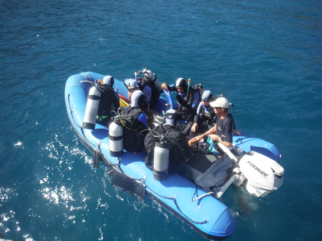 TIMELINE 7 ISLAND FOR SALE