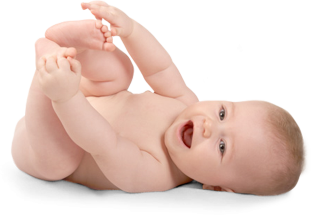 Inicio de la Etapa Lactante.