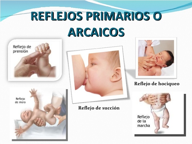 capacidades conductuales