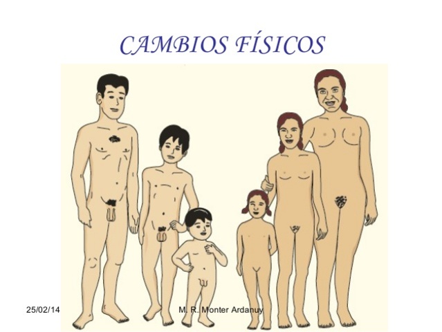 Cambios Biológicos y Sexuales en la adolescencia 2da parte.