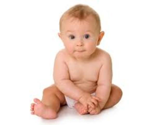 Desarrollo Óseo y Muscular