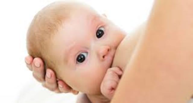 sistema inmunologico