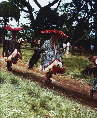 Cameroon develops its Constitution