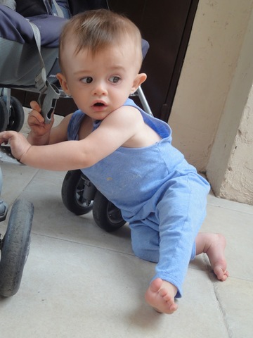 desarrollo psicomotor