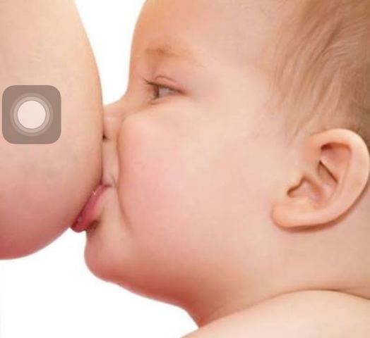 desarrollo del lactante