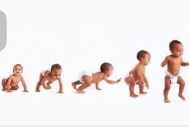 crecimiento y desarrollo físico