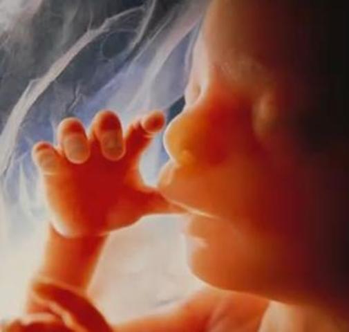 Semana número dieciseis ó cuarto mes.