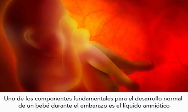 Liquido Amiotico
