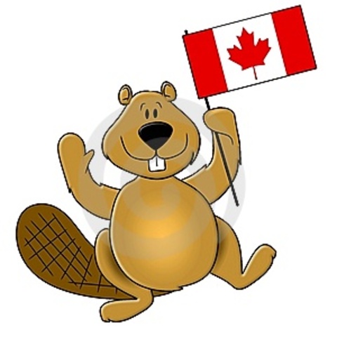 Beaver Becomes An Official Symbol