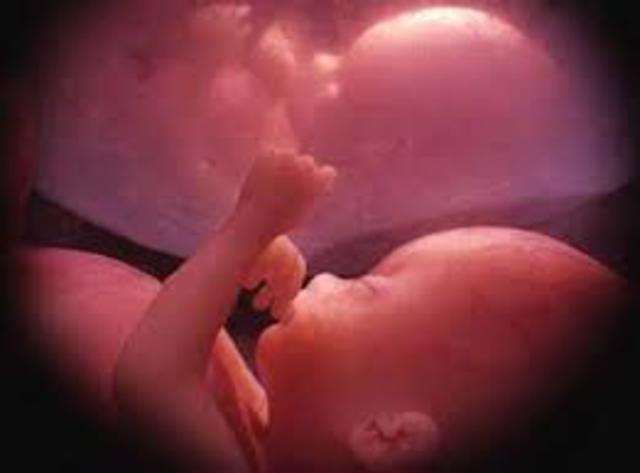 Reaccion del bebe a los movimientos de la Madre