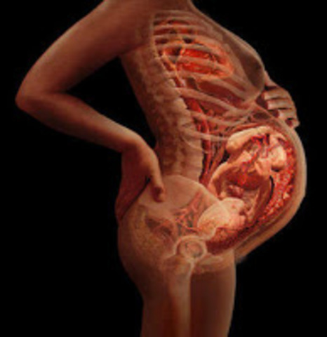 Semana 38 (Noveno mes)