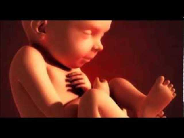 28ª semana (7º mes)