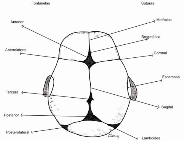 Año y medio de nacido