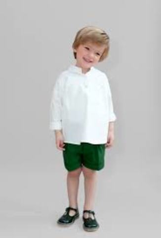 Desarrollo cognitivo