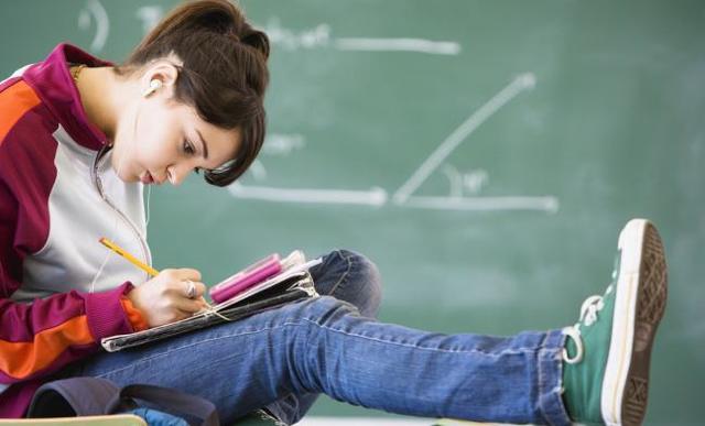 Desarrollo cognoscitivo.