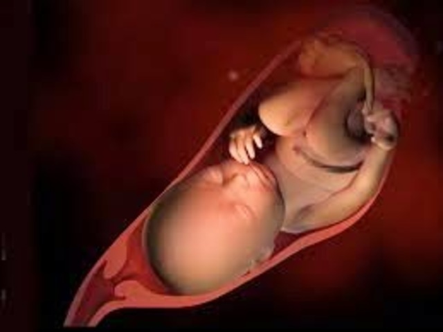 El feto llego asu Madurez