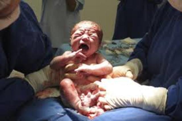 Desarrollo del niño Lactante