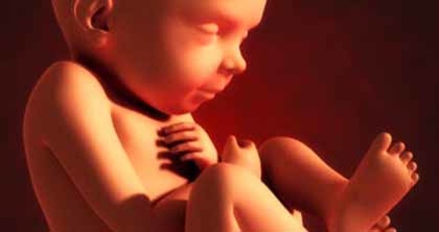 Semana 32 (comienzo del 8 mes)