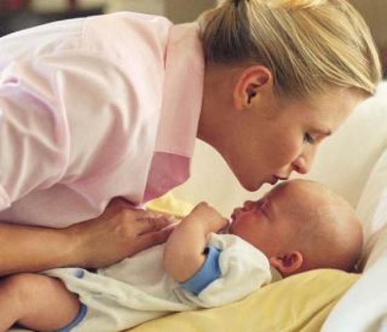 El Sistema Inmunologico