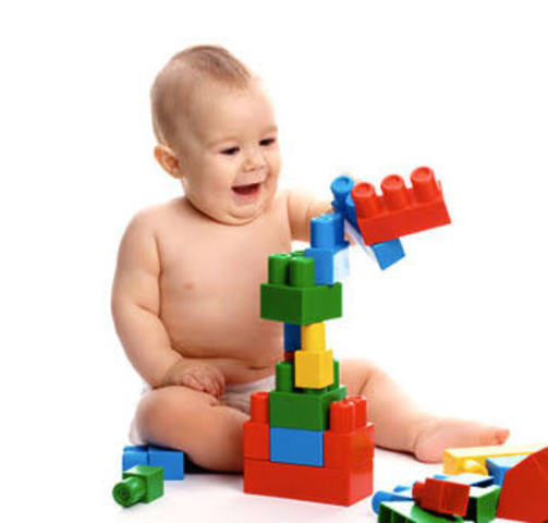 Desarrollo del lactante (1 año)