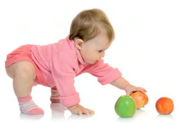 Segundo Año de Vida