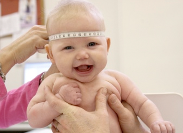 Proporciones Corporales (Cabeza)