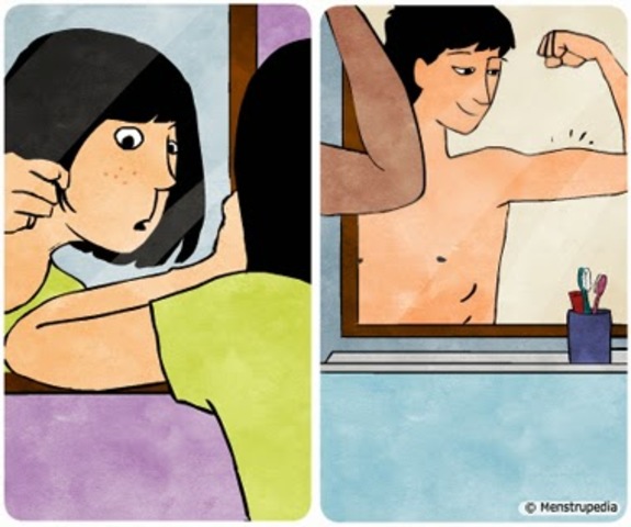 Desarrollo de la Pubertad