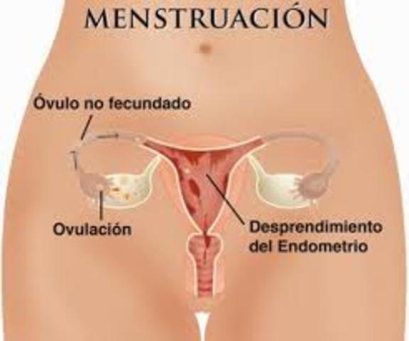 Menarquía y Espermaquia