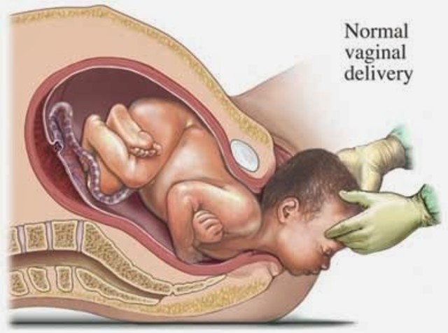 Noveno mes del embarazo. Parto