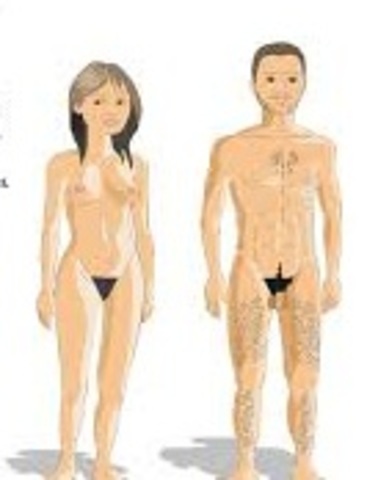 DESARROLLO DE LA PUBERTAD.