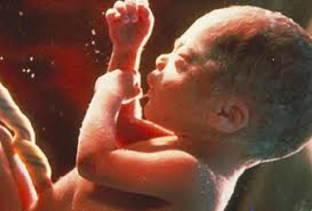 El feto mide de 40- 45 cm y pesa 2kg.