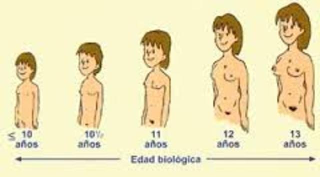 Cambios físicos en la mujer