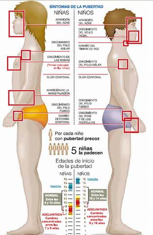 Pubertad