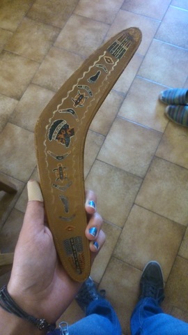 La brosse à vetements boomerang