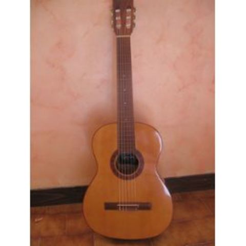 Guitare Giannini