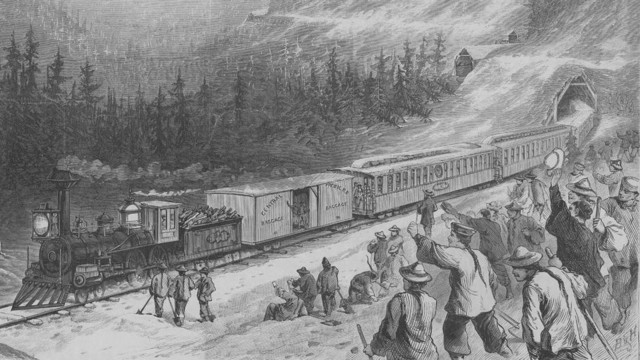 Lincoln signs "Collie" Trade