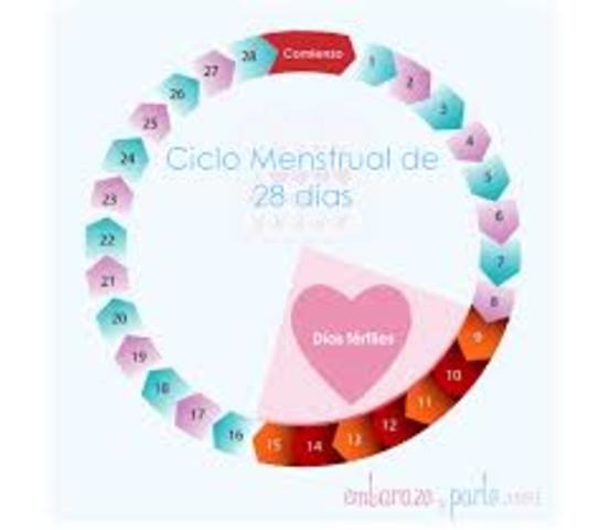 Dias de fertilidad