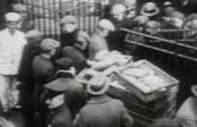 The Stock Maret Crashed - The Great Depression