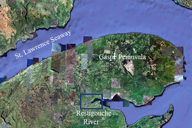 Battle of Restigouche