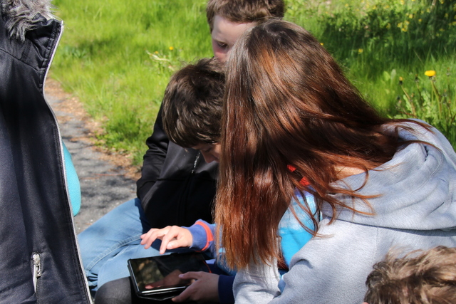 1.-9. klassi looduspäev, nutimäng