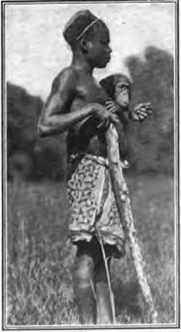 Ota Benga Commits Suicide