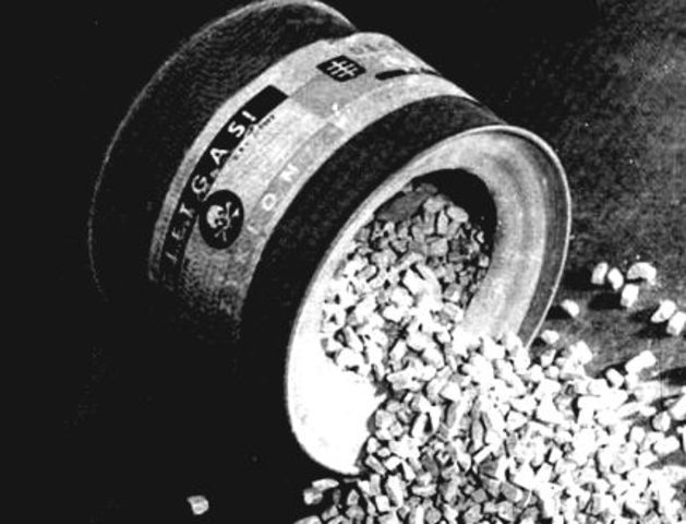 The "Final Solution" is ordered by Hitler, beginning at Auschwitz.