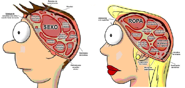 Desarrollo cognoscitivo